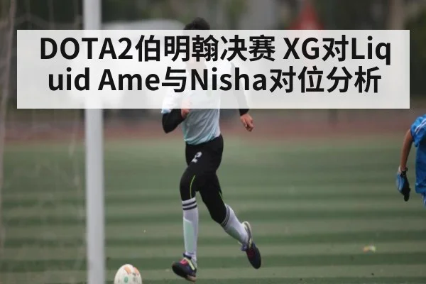DOTA2伯明翰决赛 XG对Liquid Ame与Nisha对位分析