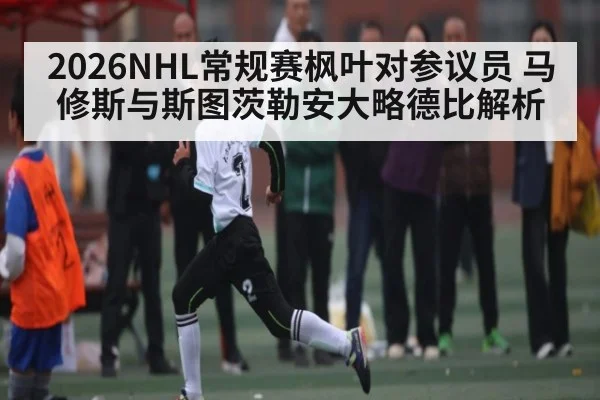 2026NHL常规赛枫叶对参议员 马修斯与斯图茨勒安大略德比解析