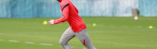 体育资讯-海港铁闸意外重伤后防怎么办？莱科要用十天树新核